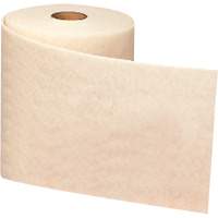 Ruban de nettoyage et de finition Scotch-Brite, Tr&egrave;s fin, Oxyde d'aluminium, 4" la x 30' lo Pathway Supply LP