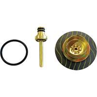 Filter/Regulator - Relieving Diaphragm & Valve Assembly Pathway Supply LP