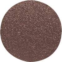 Disque de ponçage pour le bois, 12" dia., Grain 120 Pathway Supply LP