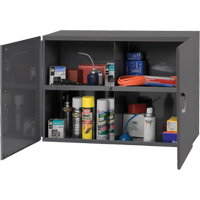 Aerosol Can Carriers