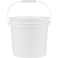 Pail With Handle, Plastic, 5 L Pathway Supply LP