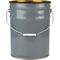Seau doubl&eacute;, Acier, 20 L Pathway Supply LP
