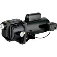 Dual Voltage Cast Iron Shallow Well Jet Pump, 115 V/230 V, 1260 GPH, 1 HP Pathway Supply LP