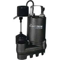 Cast Iron Submersible Sump Pump with Vertical Float Switch, 67 GPM, 33 V, 5 A, 1/3 HP Pathway Supply LP