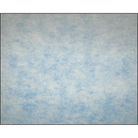 High-Arrestance Synthetic Media Filters, Pad, MERV 5, 24" W x 2" D x 12" H Pathway Supply LP