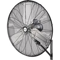 Ventilateur mural oscillant, Industriel, 2 vitesses, Diam&egrave;tre de 30" Pathway Supply LP