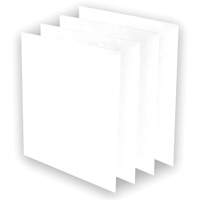 Pr&eacute;-filtres AeraMax Pro AM3 ou AM4, 13,75" la x 0,13" p x 14,38" h Pathway Supply LP