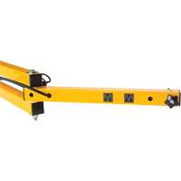 180 Double Locking Arm with 2 Receptacles Pathway Supply LP