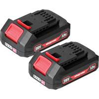 2.0Ah Lithium Battery - 2 Pack, 20 V Pathway Supply LP