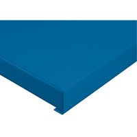 Cabinet Workbench - Tops Pathway Supply LP