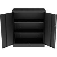 Standard Counter-High Cabinet, Steel, 2 Shelves, 42" H x 36" W x 18" D, Black Pathway Supply LP