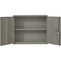 Wall Mounted Cabinet, Steel, 2 Shelves, 30" H x 36" W x 12" D, Grey Pathway Supply LP
