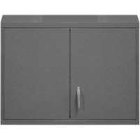 Armoire murale, 27" h x 29-7/8" la x 13-11/16" p, 2 tablettes, Acier, Gris Pathway Supply LP