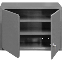 Armoire murale, 27" h x 29-7/8" la x 13-11/16" p, 2 tablettes, Acier, Gris Pathway Supply LP