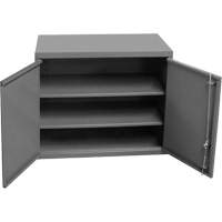 Armoire murale, 27" h x 13-11/16" la x 35-7/8" p, 2 tablettes, Acier, Gris Pathway Supply LP
