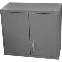 Armoire murale, 27" h x 13-11/16" la x 35-7/8" p, 2 tablettes, Acier, Gris Pathway Supply LP