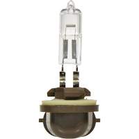 886 Basic Fog Light Bulb, Halogen, 50 W, Off White Pathway Supply LP