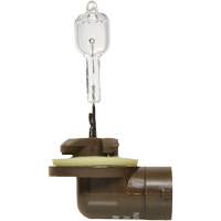 886 Basic Fog Light Bulb, Halogen, 50 W, Off White Pathway Supply LP