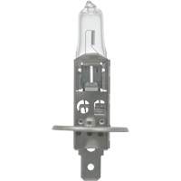 64155 Basic Automotive Bulb, Halogen, 78 W, Off White Pathway Supply LP