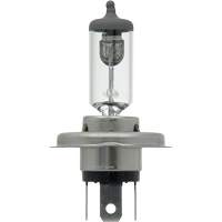 9003 Ampoule de base pour feu avant, Halog&egrave;ne, 61 W/67 W, Blanc cass&eacute; Pathway Supply LP