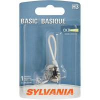 Ampoule de base pour feu avant H3, Halog&egrave;ne, 45 W, Blanc cass&eacute; Pathway Supply LP
