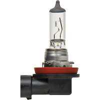 H8 Basic Headlight Bulb, Halogen, 35 W, Off White Pathway Supply LP