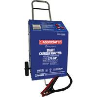 Chargeur 12 V 60 A &agrave; roues Intellamatic Pathway Supply LP