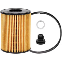 P40164 Lube Oil Filter Element Pathway Supply LP