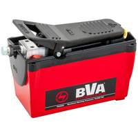 Pompe &agrave; air &agrave; une vitesse avec r&eacute;servoir de 122,1 po³ Pathway Supply LP