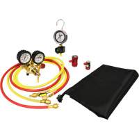 Automotive A/C Nitrogen Leak Test Kit with Regulator Pathway Supply LP