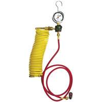 Automotive A/C Nitrogen Leak Test Kit with Regulator Pathway Supply LP
