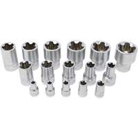 Jeu de douilles TORX EPR &agrave; 5 pans, 16 Morceaux, Prise de 1/4"/3/8"/1/2" Pathway Supply LP