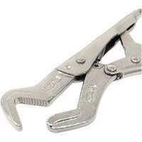 Small Parrot Pliers Pathway Supply LP