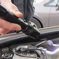 Rechargeable UV Flashlight Pathway Supply LP