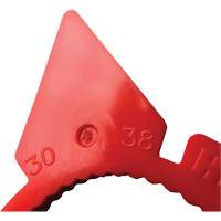 HexChex Multi-Size Loose Wheel Nut Indicator Pathway Supply LP