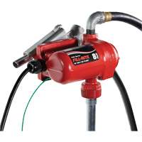 12V DC Fuel Transfer Pump with Nozzle Pathway Supply LP