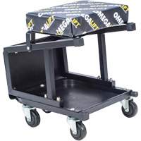 2-in-1 Seat-Stool Combo Pathway Supply LP
