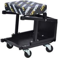 2-in-1 Seat-Stool Combo Pathway Supply LP