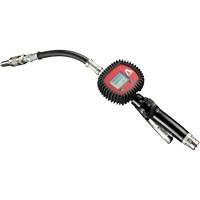 Electronic Digital Meter with Flexible Hose Pathway Supply LP