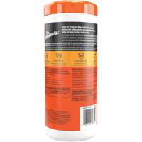 Original Protectant Wipes Pathway Supply LP