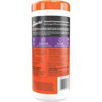 Cleaning Wipes Pathway Supply LP