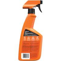 Multi-Purpose Auto Cleaner, 16 oz./473 ml, Trigger Bottle Pathway Supply LP
