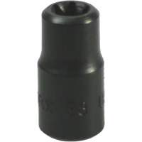 E-8 Torx&reg; Socket Pathway Supply LP