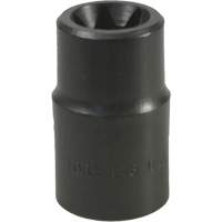E-18 Torx&reg; Socket Pathway Supply LP
