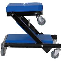 Sommier roulant pliant 2-en-1 convertible en si&egrave;ge Pathway Supply LP