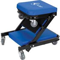 Sommier roulant pliant 2-en-1 convertible en si&egrave;ge Pathway Supply LP