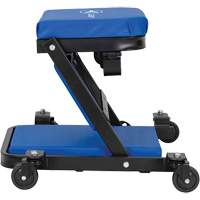 Sommier roulant pliant &agrave; profil bas 3-en-1 convertible en si&egrave;ge Pathway Supply LP