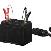 Batterie au lithium &agrave; double usage de groupe 27, 100Ah Pathway Supply LP