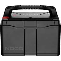 Batterie lithium-ion LiFePO4 &agrave; double usage de groupe 31, 120 Ah Pathway Supply LP