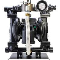 Calcium Chloride Liquid Transfer Pump Pathway Supply LP
